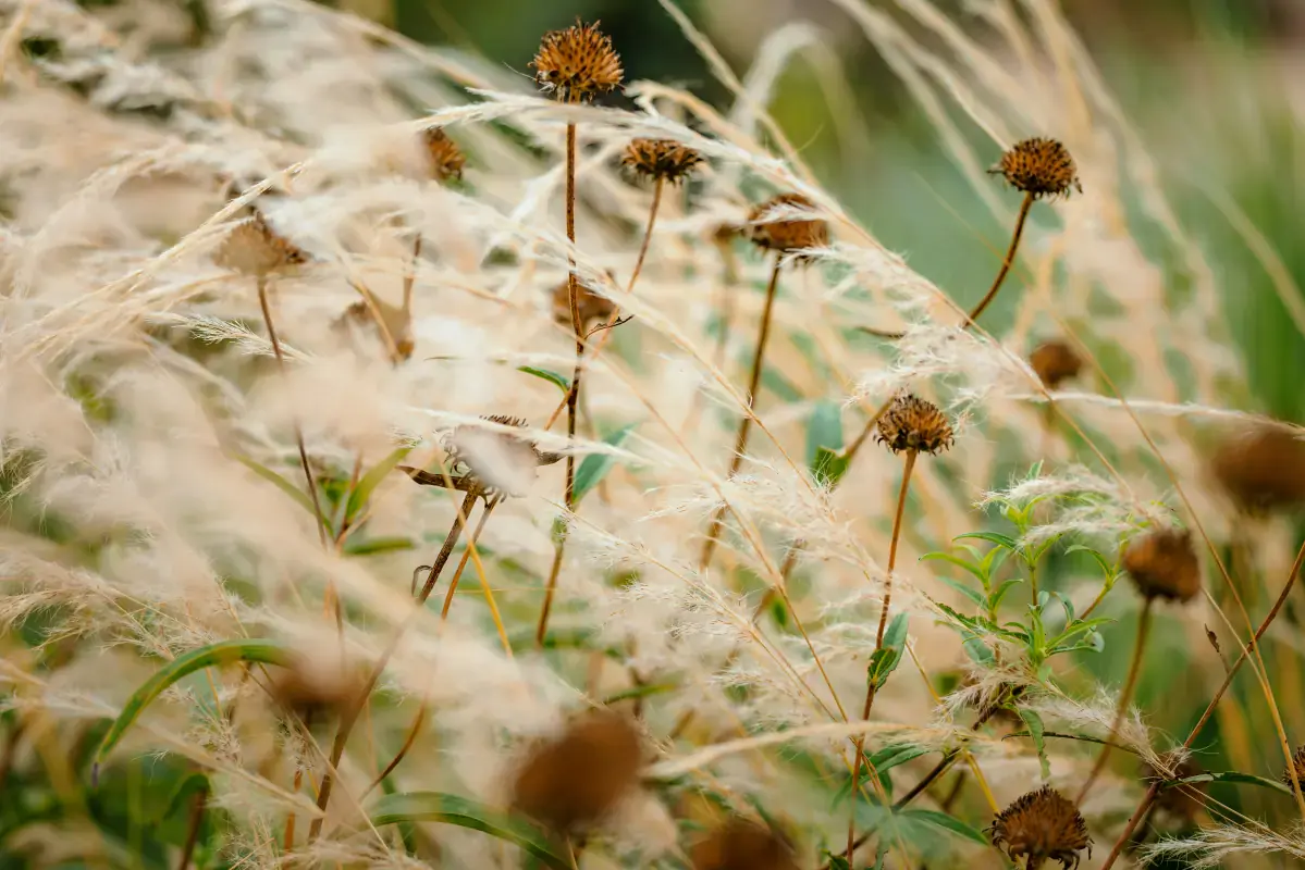 Soft autumn capsule wardrobe: coordinated muted, warm tones for seasonal color analysis