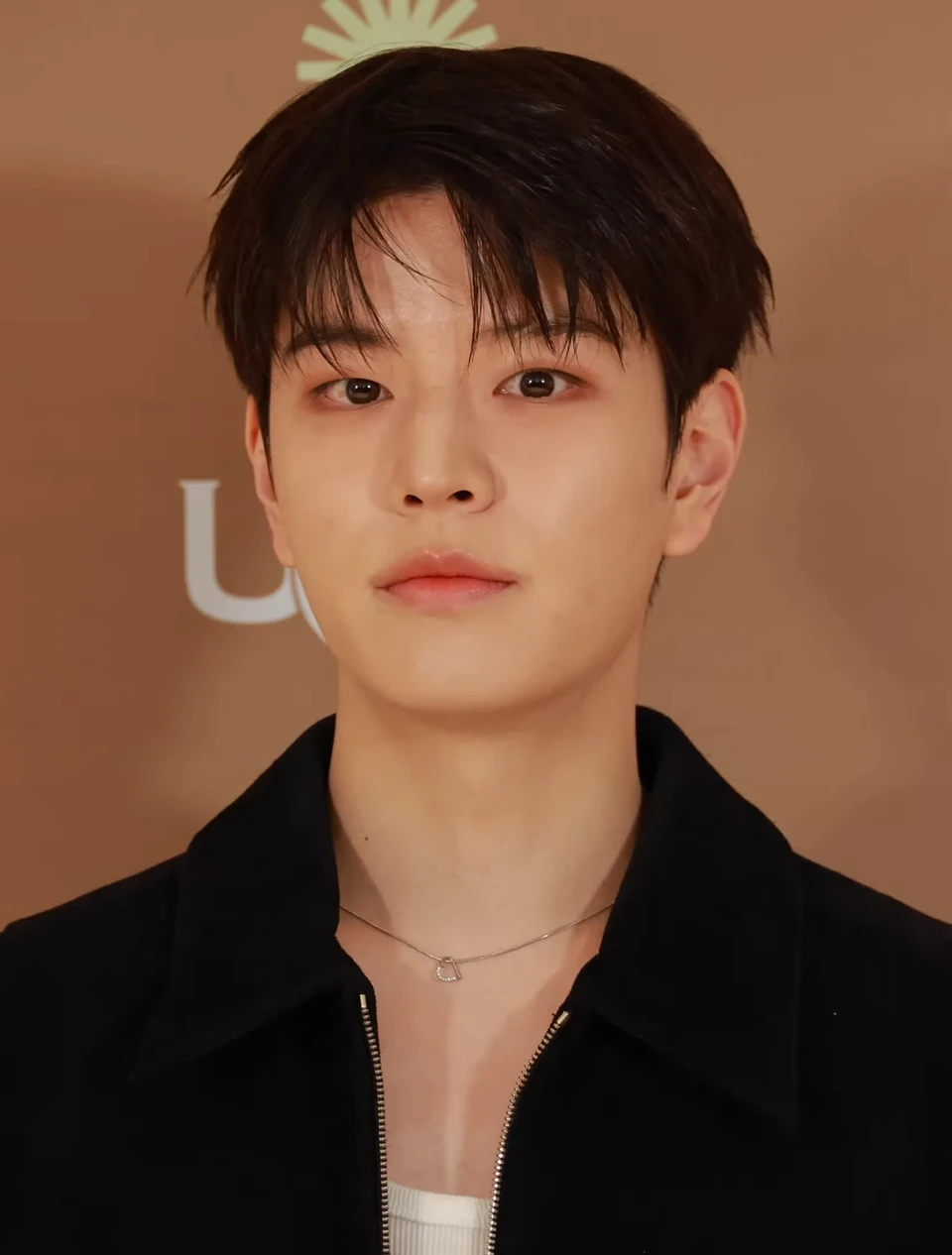 Seungmin (Stray Kids) wearing balanced jewel-toned looks with cool neutrals, showcasing steel blue, cranberry, optic white, graphite, and imperial purple from the Neutral Winter palette.