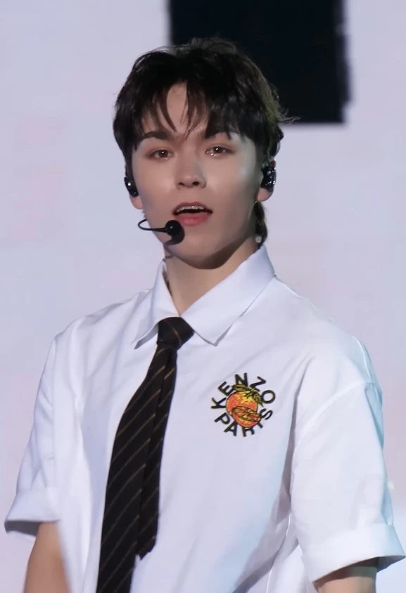 Vernon (SEVENTEEN) wearing deep jewel-toned ensembles with sharp contrast, showcasing midnight navy, crimson, amethyst, gunmetal, and snow white from the Deep Winter palette.